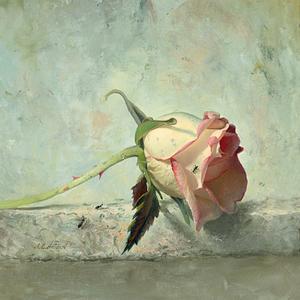 Tonight i feel close to you（Cover 仓木麻衣 / 孙燕姿）