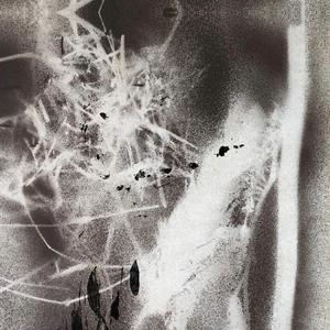 POESIE (feat. remote)