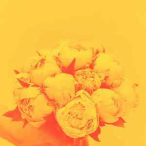 优美早上休息器乐