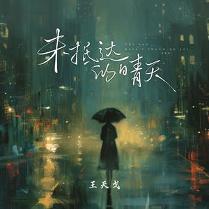 未抵达的晴天