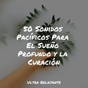 Himnos De La Pasión Por Los Viajes