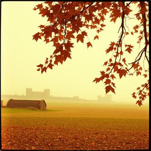 Yorktown (New Version) (Cover) by @historymusicnerd