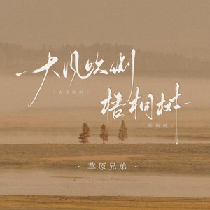 大风吹倒梧桐树 (DJ默涵版)