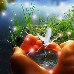 Ловлю мгновенья by @alex2465