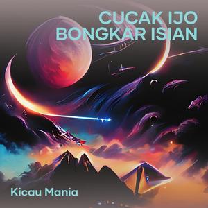 Cucak Ijo Bongkar Isian