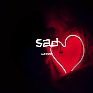 Wild$am給你最後一首歌