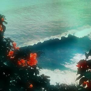 Late in the quiet evenings I paddle down these wet roads with a dry hand