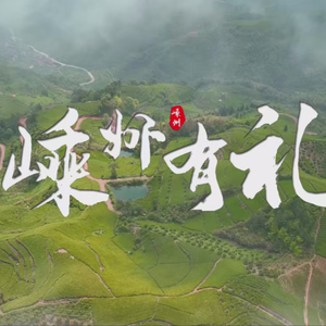 嵊州有礼