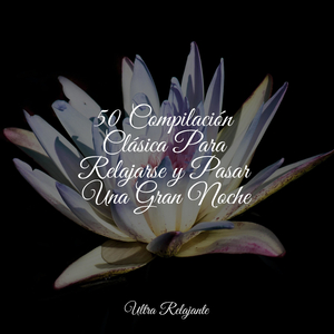 Himnos De La Pasión Por Los Viajes