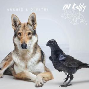 Enfrentamiento (feat. GALFLY)