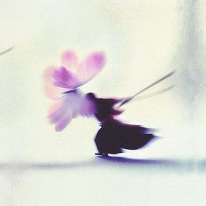 自由式 chill rap beat 伴奏 说唱节奏 "蝴蝶恋" 嘻哈乐器
