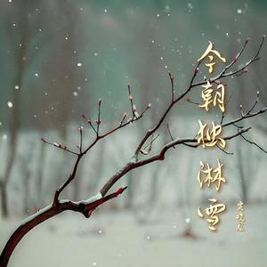 今朝独淋雪