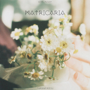 matricaria