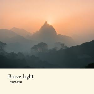 Brave Light