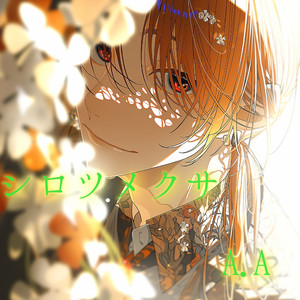シロツメクサ