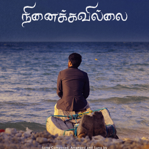 Ninaikavillai