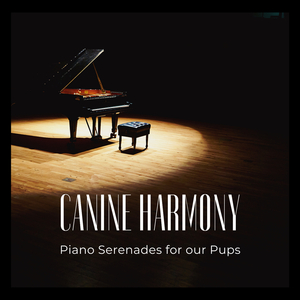 Woofing Piano Reverie