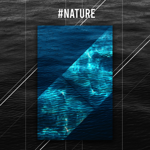 Californian Waves