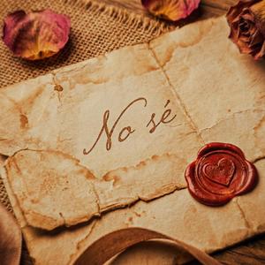 NO SE