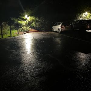 TYPHOON