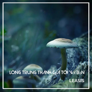 Chính Anh Là Người Đã yêu Em Như Vậy