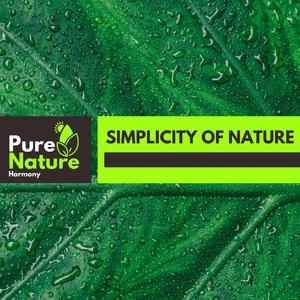 Light Fire on the Hill