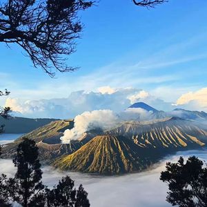 你数着年轮慢慢生长