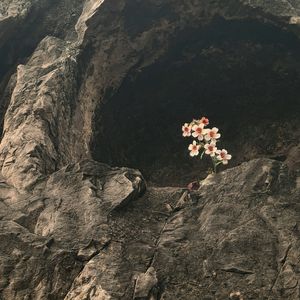 寺庙