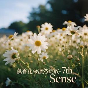 향기로운 꽃은 우아하게 피어나 (薰香花朵凛然绽放)
