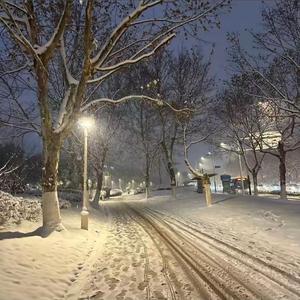 白天不懂夜的黑