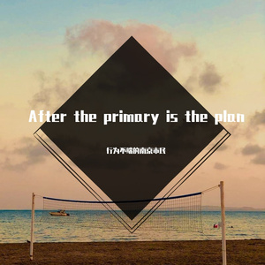 After the primary is the plan