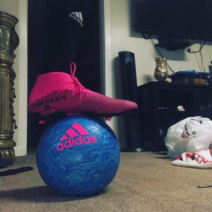 Lights Camera Action