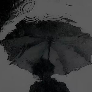 一场秋雨一场花