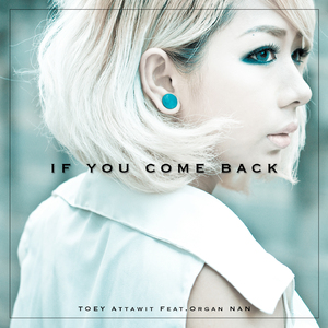 ถ้าเธอย้อนกลับมา