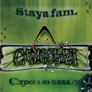Год собаки альб. Строго по Плану 2006