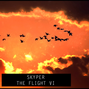 The Flight VI