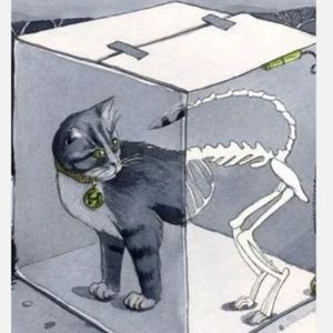 困于爱的薛定谔猫