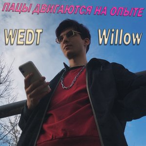 Пацы двигаются на опыте