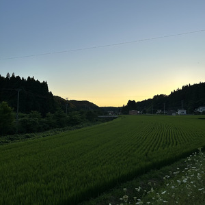 夏の始まり (feat. 溝口真矢)