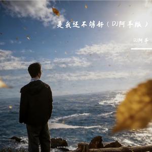 其实都没有（DJ阿羊版）