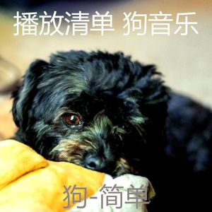 简单-幼犬