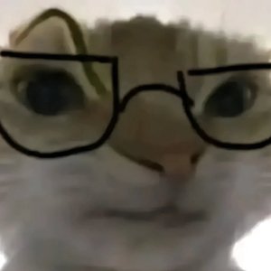 你故作选择性不读我的消息