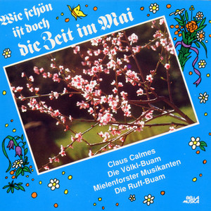 Auf der grünen Wiese am Waldessaum