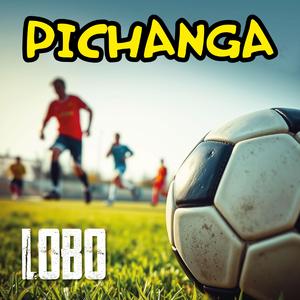 PICHANGA