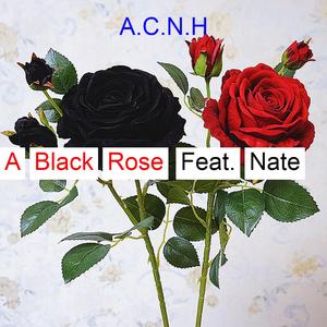 A Black Rose (feat. Nate)
