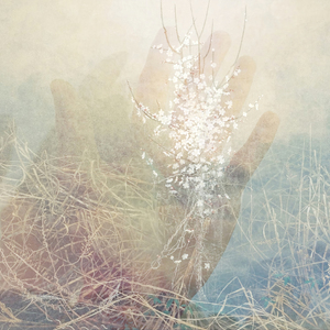 Море-глубоко