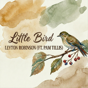 Little Bird