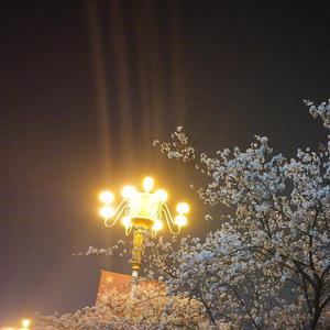 见一面吧（demo）