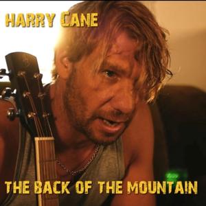 THE BACK OF THE MOUNTAIN