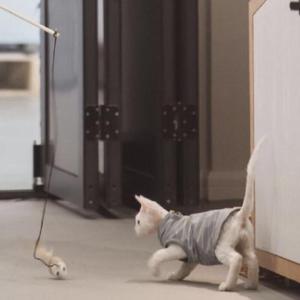 爆米花（翻自 TNT时代少年团粉丝）